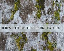 Image result for Photoshop Texture Pack