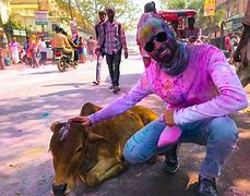 Image result for Bangladesh Cow