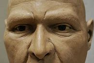 Image result for Cro-Magnon Face
