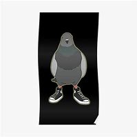 Image result for Drip Pigeon Meme
