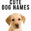 Image result for Cutest Boy Dog Names
