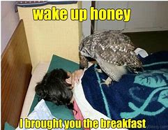 Image result for Wake Up Honey Meme
