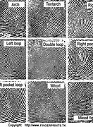 Image result for Fingerprint Print