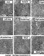 Image result for Fingerprint Science