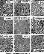 Image result for Fingerprint Pictures for Kids