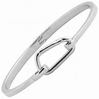 Image result for Silver Carabiner