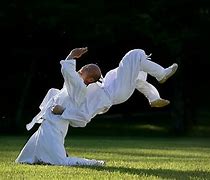 Image result for Taekkyeon