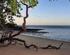 Image result for Coochiemudlo Island Gindabara Beach