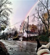 Image result for Rainbow Instagram