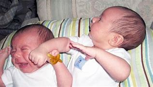 Image result for Newborn Baby Funny