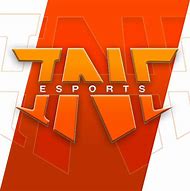 Image result for Oakenwolf eSports