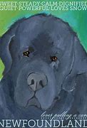 Image result for Newfoundland Dog Artwork