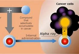 Image result for actinimetr�a