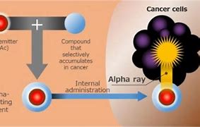 Image result for actinomwtr�a