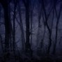 Image result for Dark Creepy Forest Wallpaper