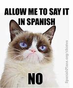 Image result for Spanish Teacher Memes