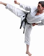 Image result for Kumite Karate PNG