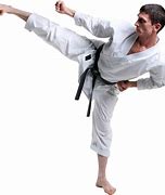 Image result for Martial Art Karate Fighter