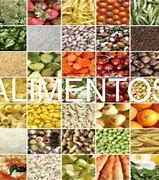 Image result for alimenyicio