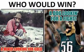 Image result for 49ers Eagles Meme