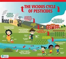 Image result for Plant Pesticides