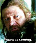 Image result for Winter Is Coming Meme GIF