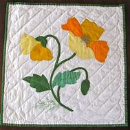 Image result for Vintage Applique Quilts
