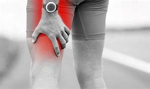 Image result for Rear Upper Leg Muscle Pain