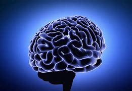 Image result for Brain Animated Images