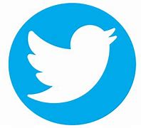 Image result for twitter logos color