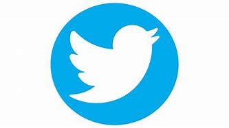 Image result for Twitter Blue T Logo