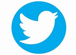Image result for Official Twitter Logo