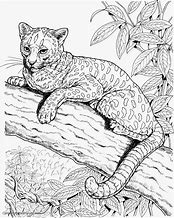 Image result for Adult Realistic Cat Coloring Pages
