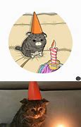Image result for Sad Cat Birthday Meme Card