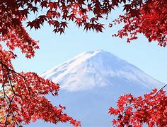 Image result for Mount Fuji Winter