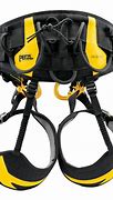 Image result for Model Sequoia Harness