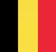 Image result for Belgium Flag