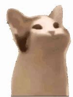Image result for Pop Cat Meme GIF