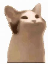 Image result for discord cats meme gif