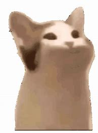 Image result for Bongo Cat Explosion GIF