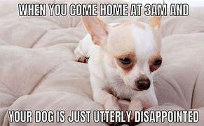 Image result for Sad Puppy Dog Meme