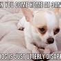 Image result for Sad Dog Meme Phone