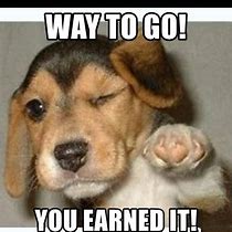 Image result for Way to Go Animal Meme