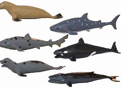 Image result for Sea Animal Rubber Toys