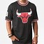 Image result for NBA Chicago Bulls T-Shirt