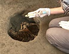 Image result for Pompeii Victims Preserved