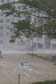 Image result for Hong Kong Typhoon