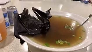 Image result for Covid Bat Soup