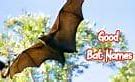 Image result for Scary Bat Names