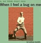 Image result for Bug Squash Meme